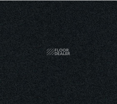 Ковровая плитка Interface Polichrome Solid 4266004 Liquorice фото 1 | FLOORDEALER